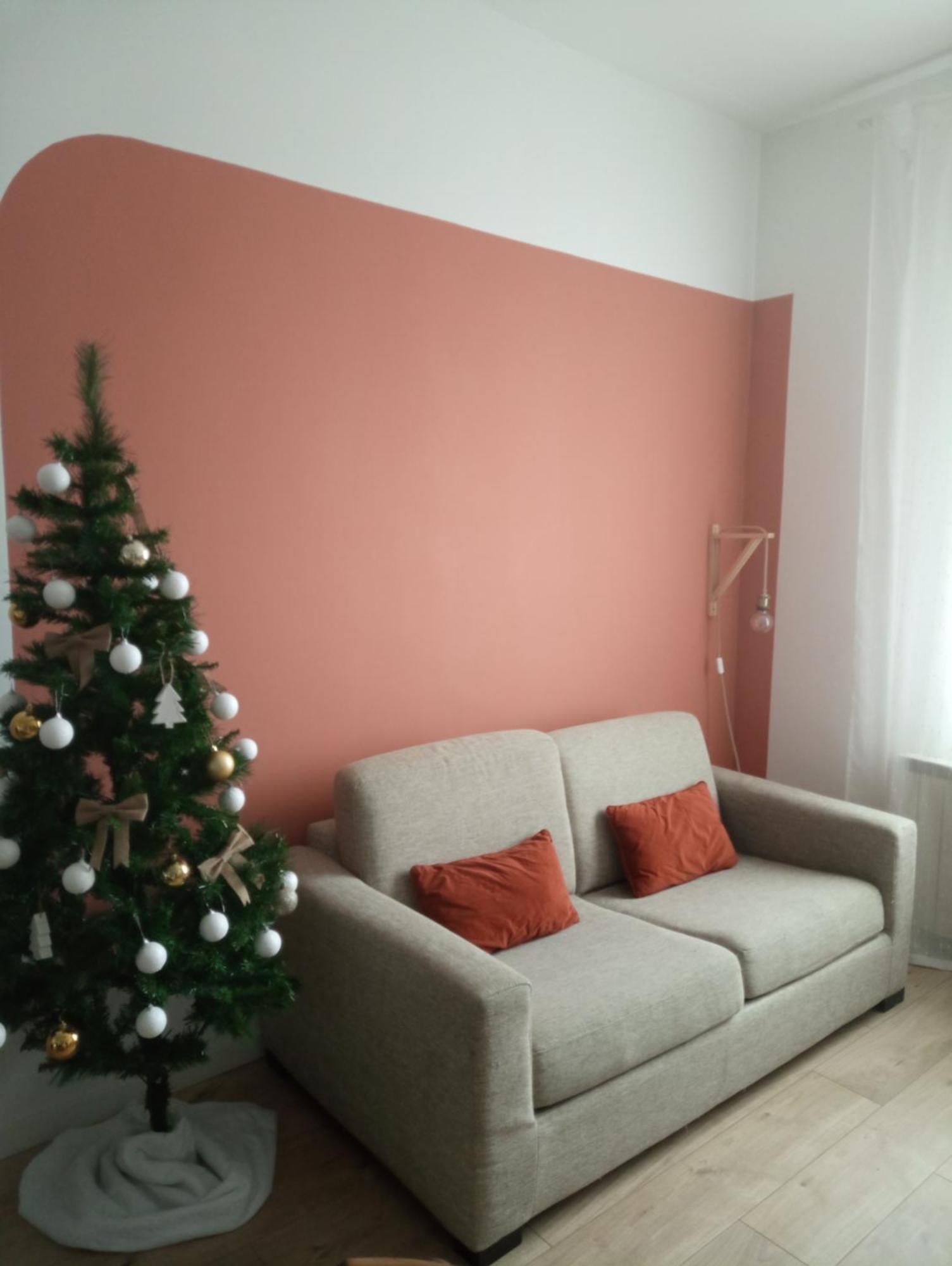 La Maison De Camille Climatisation Parking Prive Wifi Carcassonne Exterior photo